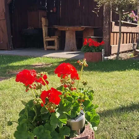 Hébergement de vacances Tomek *